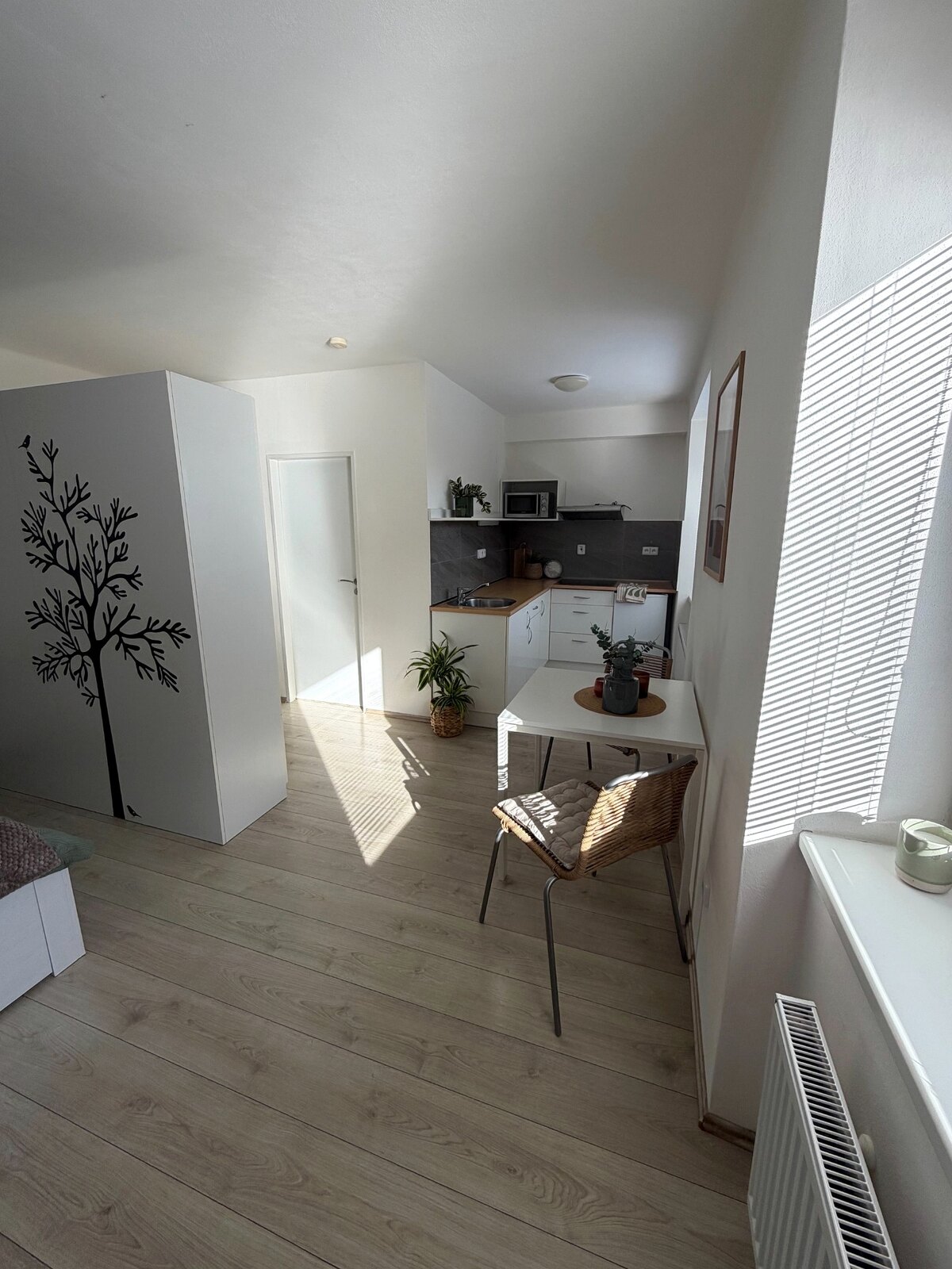 1KK světlý pohled do apartmánu