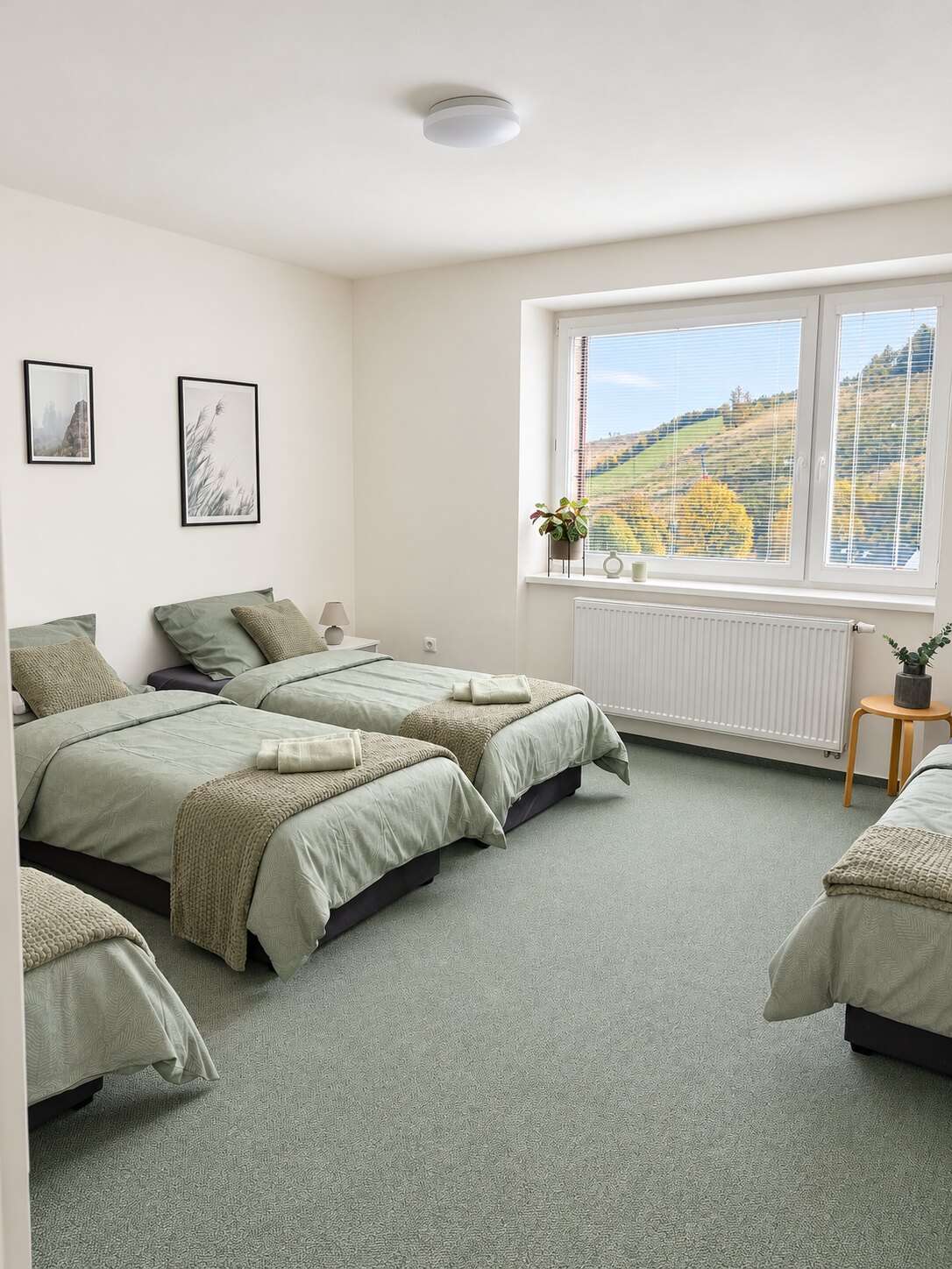 Ložnice apartmánu 2+kk s oknem do okolní krajiny